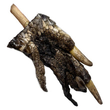 Alligator Foot Back Scratcher