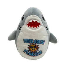 Punta Gorda Squishy Shark