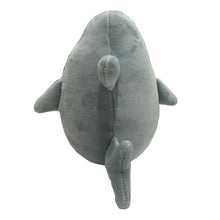 Punta Gorda Squishy Shark