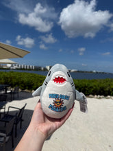 Punta Gorda Squishy Shark