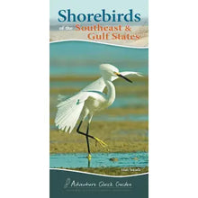Shorebirds Pocket Guide